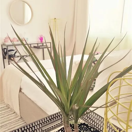 Rose By Dasoudi Beach Appartement *
